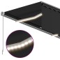 vidaXL Toldo manual retráctil con persiana y LED antracita 4x3 m vidaXL Toldo manual retráctil con persiana y LED antracita 4x3 m