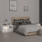 vidaXL Mesitas de noche con luces LED 2 uds blanco brillo 70x36,5x40cm vidaXL Mesitas de noche con luces LED 2 uds blanco brillo 70x36,5x40cm
