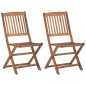 vidaXL Sillas de jardín plegables 2 uds madera maciza acacia y cojines vidaXL Sillas de jardín plegables 2 uds madera maciza acacia y cojines