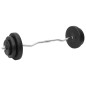 vidaXL Juego de barras y mancuernas con discos 60 kg vidaXL Juego de barras y mancuernas con discos 60 kg