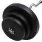 vidaXL Mancuerna curl con discos 60 kg vidaXL Mancuerna curl con discos 60 kg