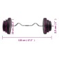 vidaXL Mancuerna curl con discos 60 kg vidaXL Mancuerna curl con discos 60 kg