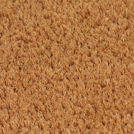 vidaXL Felpudo de fibra de coco copetuda 40x60 cm