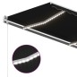 vidaXL Toldo automático con LED sensor de viento antracita 400x300 cm vidaXL Toldo automático con LED sensor de viento antracita 400x300 cm