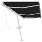 vidaXL Toldo de pie retráctil manual antracita 600x300 cm vidaXL Toldo de pie retráctil manual antracita 600x300 cm