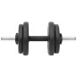 vidaXL Juego de barras y mancuernas con discos 60 kg vidaXL Juego de barras y mancuernas con discos 60 kg