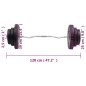vidaXL Mancuerna curl con discos 60 kg vidaXL Mancuerna curl con discos 60 kg