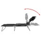 vidaXL Tumbona plegable de acero con cojín de cabeza acero negra vidaXL Tumbona plegable de acero con cojín de cabeza acero negra