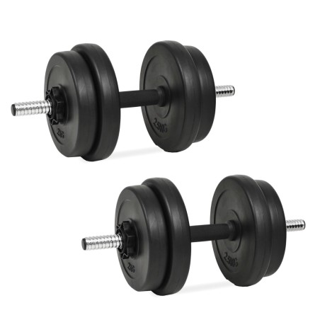 vidaXL Mancuernas con discos 40 kg