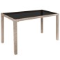 vidaXL Set comedor de jardín 5 piezas y cojines ratán sintético beige vidaXL Set comedor de jardín 5 piezas y cojines ratán sintético beige