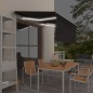 vidaXL Toldo automático persiana LED sensor viento antracita 3x2,5m vidaXL Toldo automático persiana LED sensor viento antracita 3x2,5m