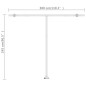 vidaXL Toldo de pie retráctil manual gris antracita 300x250 cm vidaXL Toldo de pie retráctil manual gris antracita 300x250 cm