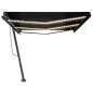 vidaXL Toldo retráctil manual con luz LED gris antracita 600x300 cm vidaXL Toldo retráctil manual con luz LED gris antracita 600x300 cm