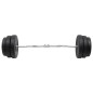 vidaXL Mancuerna curl con discos 90 kg vidaXL Mancuerna curl con discos 90 kg