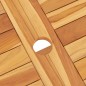 vidaXL Juego de comedor de jardín 7 piezas madera maciza de teca