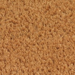 vidaXL Felpudo de fibra de coco natural 50x80 cm