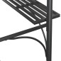 vidaXL Cenador barbacoa estante lateral acero antracita 220x115x230 cm vidaXL Cenador barbacoa estante lateral acero antracita 220x115x230 cm