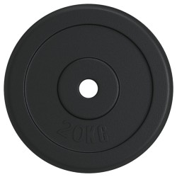 vidaXL Disco de pesas hierro fundido 20 kg