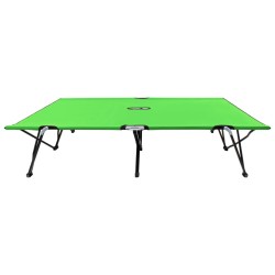 vidaXL Tumbona plegable para 2 personas acero verde