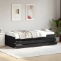 vidaXL Tumbona con cajones madera de ingeniería negro 75x190 cm vidaXL Tumbona con cajones madera de ingeniería negro 75x190 cm
