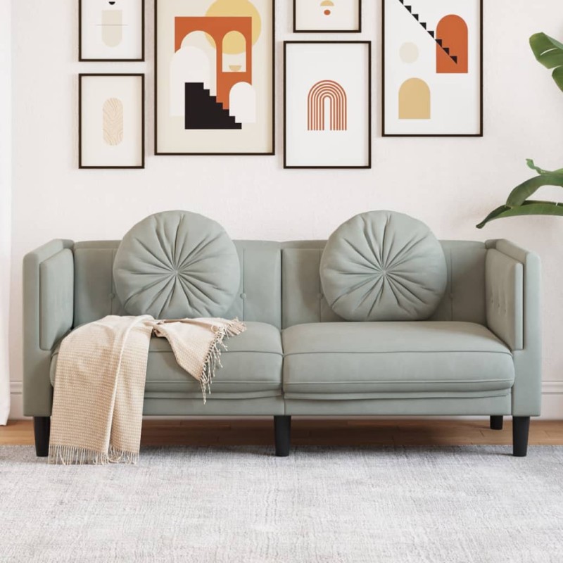vidaXL Sofá con cojines 2 plazas terciopelo gris claro vidaXL Sofá con cojines 2 plazas terciopelo gris claro