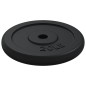 vidaXL Discos de pesas hierro fundido 40 kg vidaXL Discos de pesas hierro fundido 40 kg