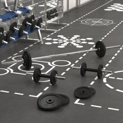 vidaXL Juego de barras y mancuernas con discos 60 kg hierro fundido
