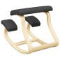 vidaXL Taburete rodillas madera contrachapada abedul negro 48x71x51cm vidaXL Taburete rodillas madera contrachapada abedul negro 48x71x51cm