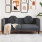 vidaXL Sofá con cojines 2 plazas terciopelo gris oscuro vidaXL Sofá con cojines 2 plazas terciopelo gris oscuro