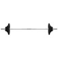 vidaXL Mancuerna con discos 60 kg hierro fundido vidaXL Mancuerna con discos 60 kg hierro fundido