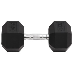 vidaXL Mancuerna hierro fundido 25 kg