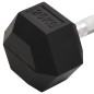 vidaXL Mancuerna hierro fundido 25 kg vidaXL Mancuerna hierro fundido 25 kg