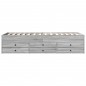 vidaXL Tumbona con cajones madera ingeniería gris Sonoma 75x190 cm vidaXL Tumbona con cajones madera ingeniería gris Sonoma 75x190 cm