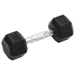 vidaXL Mancuernas 2 unidades hierro fundido 8 kg