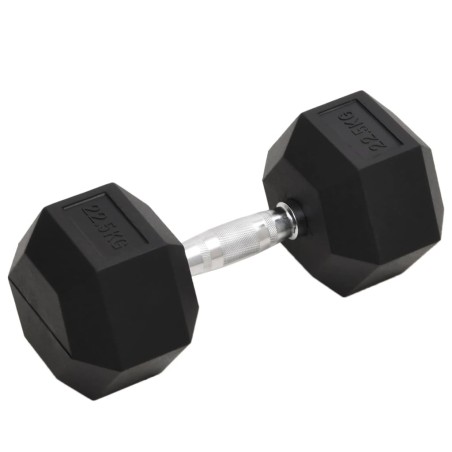 vidaXL Mancuerna hierro fundido 22,5 kg