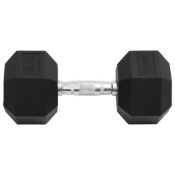 vidaXL Mancuerna hierro fundido 22,5 kg