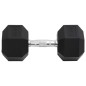 vidaXL Mancuerna hierro fundido 22,5 kg