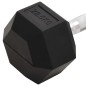 vidaXL Mancuerna hierro fundido 22,5 kg