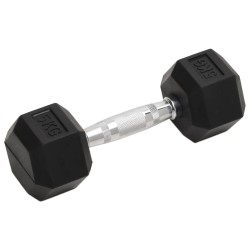 vidaXL Mancuernas 2 unidades hierro fundido 10 kg