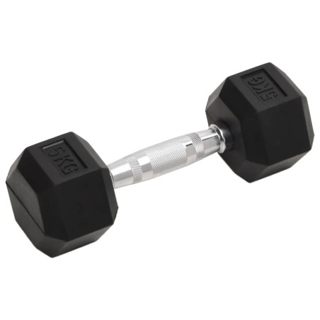 vidaXL Mancuernas 2 unidades hierro fundido 10 kg