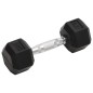 vidaXL Mancuernas 2 unidades hierro fundido 10 kg vidaXL Mancuernas 2 unidades hierro fundido 10 kg