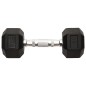 vidaXL Mancuernas 2 unidades hierro fundido 10 kg vidaXL Mancuernas 2 unidades hierro fundido 10 kg