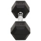 vidaXL Mancuernas 2 unidades hierro fundido 10 kg vidaXL Mancuernas 2 unidades hierro fundido 10 kg
