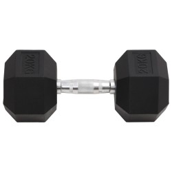 vidaXL Mancuerna hierro fundido 20 kg
