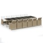 vidaXL Set comedor de jardín 13 piezas y cojines ratán sintético beige vidaXL Set comedor de jardín 13 piezas y cojines ratán sintético beige
