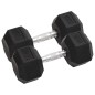 vidaXL Mancuernas 2 unidades hierro fundido 20 kg vidaXL Mancuernas 2 unidades hierro fundido 20 kg