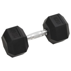 vidaXL Mancuernas 2 unidades hierro fundido 20 kg