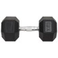 vidaXL Mancuernas 2 unidades hierro fundido 20 kg vidaXL Mancuernas 2 unidades hierro fundido 20 kg