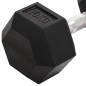 vidaXL Mancuernas 2 unidades hierro fundido 20 kg vidaXL Mancuernas 2 unidades hierro fundido 20 kg