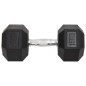 vidaXL Mancuernas 2 unidades hierro fundido 30 kg vidaXL Mancuernas 2 unidades hierro fundido 30 kg